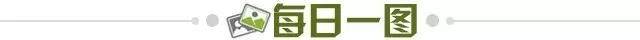 70eb47e1-bd7f-4ea8-b0b3-723e2b9a0394.jpg@!img01